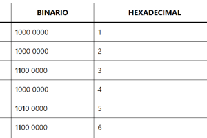 Decimal Binario Hexadecimal y Octal