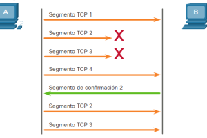 capa de transporte módulo 14